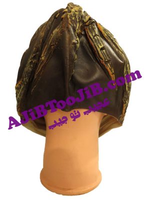 Mask armored warrior