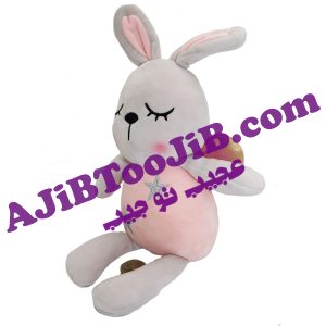 خرگوش های فانتزی بالدار