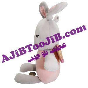 خرگوش های فانتزی بالدار