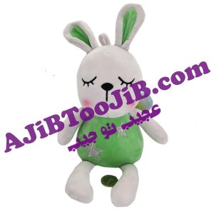 خرگوش های فانتزی بالدار