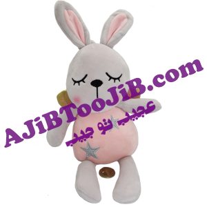 خرگوش های فانتزی بالدار