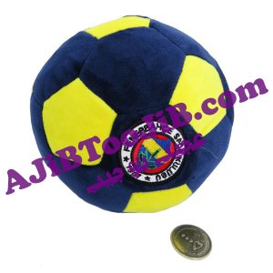 توپ فوتبال پولیشی