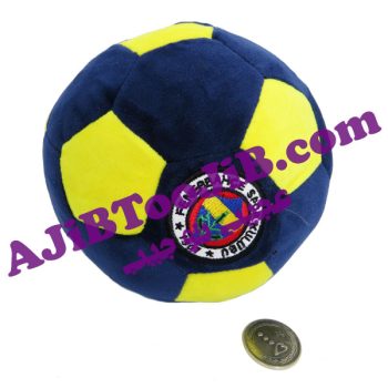 توپ فوتبال پولیشی