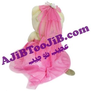 خرس های جنتلمن عروس و داماد