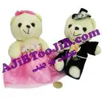 خرس های جنتلمن عروس و داماد