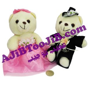 خرس های جنتلمن عروس و داماد