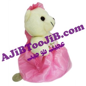 خرس های جنتلمن عروس و داماد