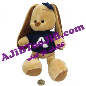 خرگوش های جنتلمن دختر و پسر