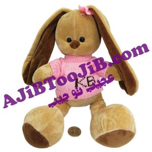 Doll gentleman rabbits