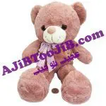 خرس های مهربان پاپیون دار