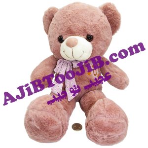 خرس های مهربان پاپیون دار