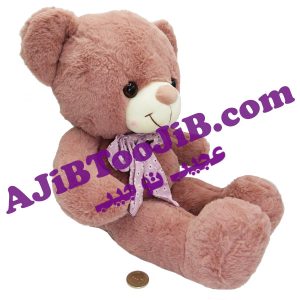 خرس های مهربان پاپیون دار