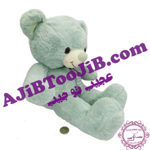 خرس های مهربان پاپیون دار