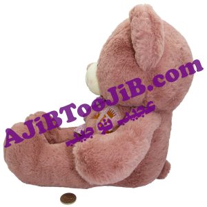 خرس های مهربان پاپیون دار