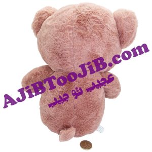 خرس های مهربان پاپیون دار