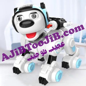 ربات سگ پلیس هوشمند (تیر پرتاب کن)