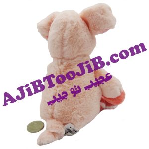 خوک های پشمالوی با نمک