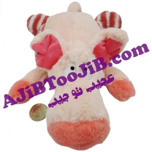 خوک های پشمالوی با نمک