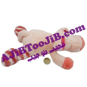خوک های پشمالوی با نمک