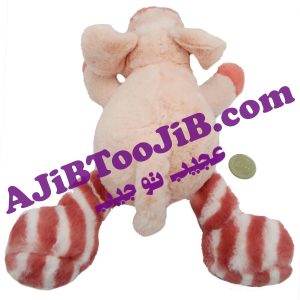 خوک های پشمالوی با نمک