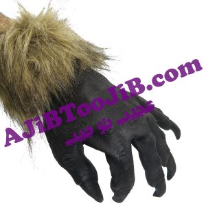 دستکش پنجه گرگ سیاه