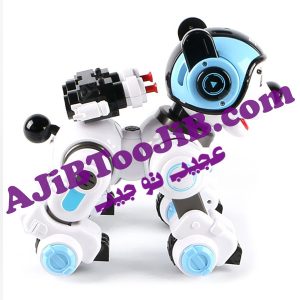 ربات سگ پلیس هوشمند (تیر پرتاب کن)