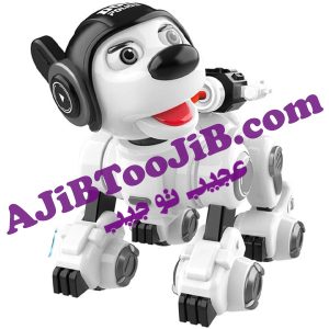 ربات سگ پلیس هوشمند (تیر پرتاب کن)