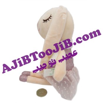 خرگوش ناز درخشنده