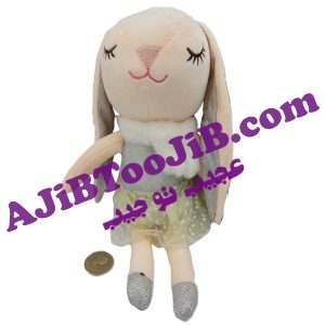 خرگوش ناز درخشنده