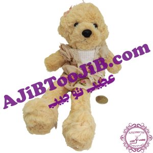 سگ جلی کت دامن گلی ناز