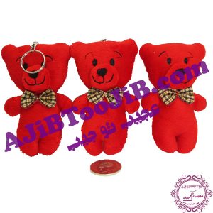 جاسوئیچی خرس قرمز ولنتاین