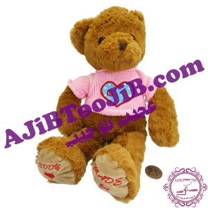 Charming winter furry bear