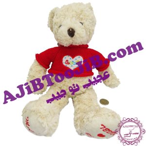 خرس پشمالوی زمستانی جذاب