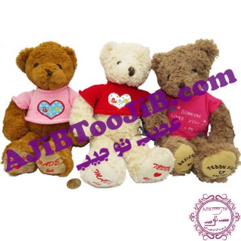 Charming winter furry bear