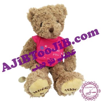 خرس پشمالوی زمستانی جذاب