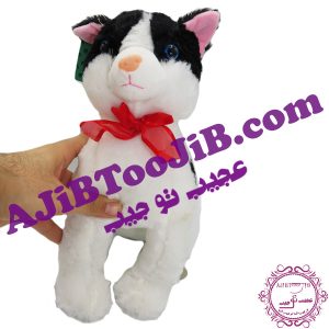 گربه جنتلمن سیاه و سفید (موزیکال) - Image 5