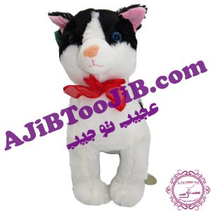 گربه جنتلمن سیاه و سفید (موزیکال) - Image 2