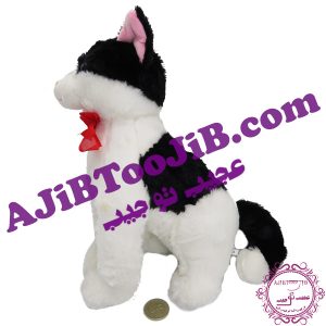 گربه جنتلمن سیاه و سفید (موزیکال) - Image 3