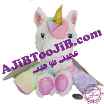 پونی پشمالو بالدار رنگین کمانی