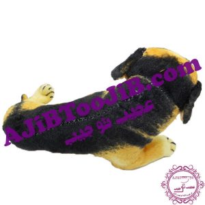 Doll loyal Lying down dog