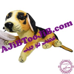 سگ مهربان خوابیده گوش به فرمان