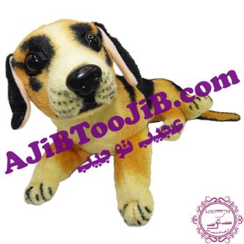 سگ مهربان خوابیده گوش به فرمان