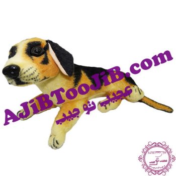 سگ مهربان خوابیده گوش به فرمان