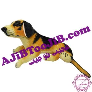 سگ مهربان خوابیده گوش به فرمان