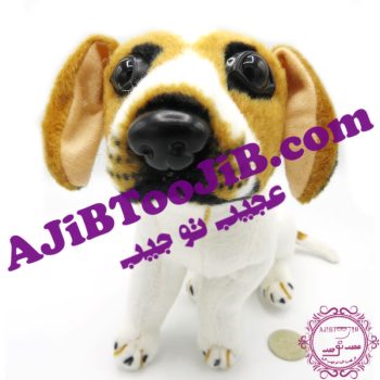 سگ مهربان نشسته گوش به فرمان (بسیار طبیعی)