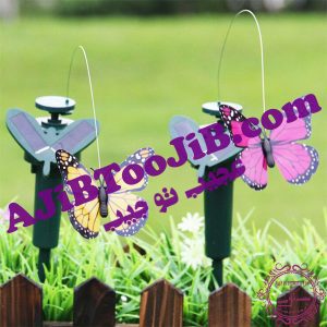 پروانه های رمانتیک چرخشی و لرزان