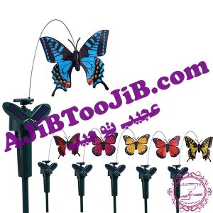 Romantic solar butterfly