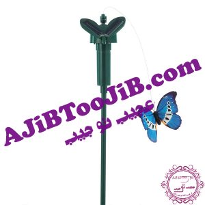 پروانه های رمانتیک چرخشی و لرزان