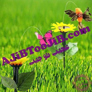 Romantic solar butterfly