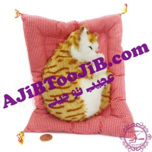 گربه ناز خوابیده روی تشک موزیکال (سایز بزرگ)